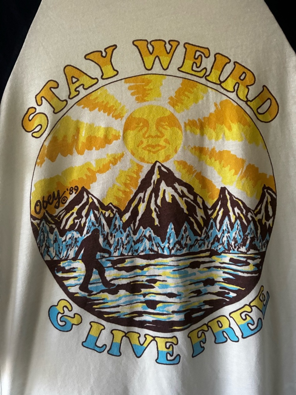 Obey Stay Weird & Live Free Raglan Tee - Picture 4 of 4